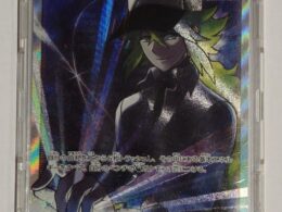 N's Resolve Full-Art Trainer Card Japanese - M